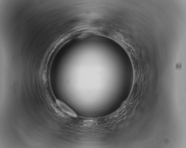 X0000097980050200803241309
