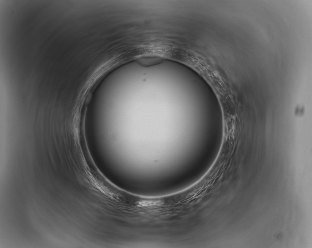 X0000097980051200803241309