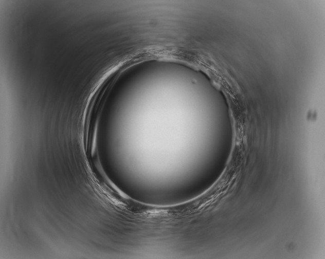 X0000097980052200803241309