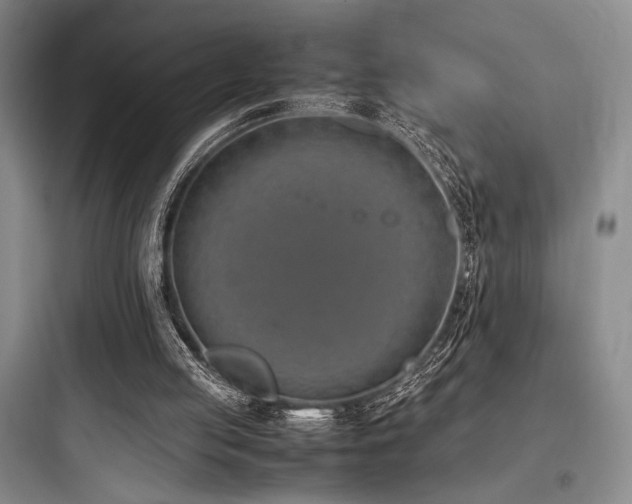 X0000097980053200803241309