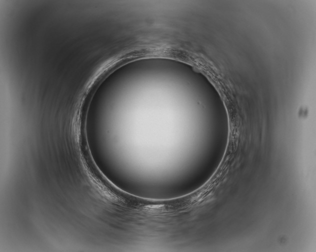 X0000097980054200803241309