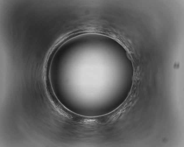 X0000097980055200803241309