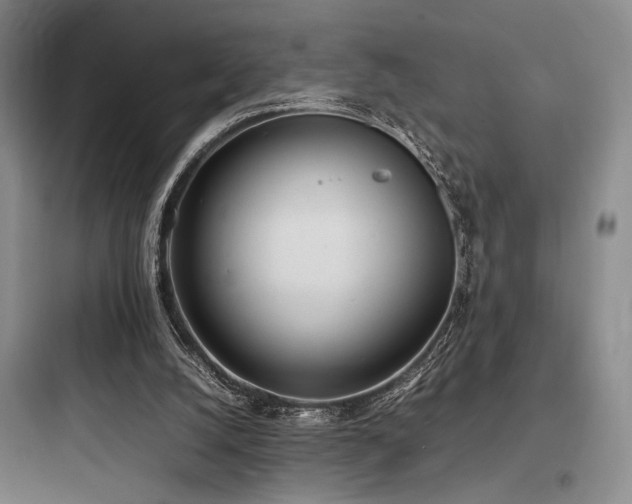 X0000097980056200803241309