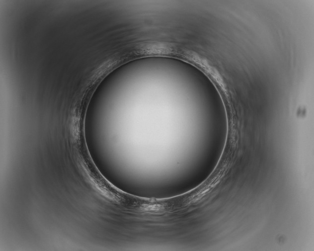 X0000097980057200803241309
