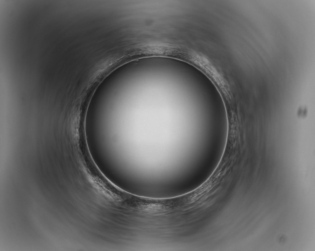 X0000097980058200803241309