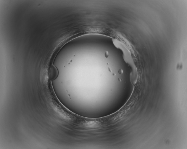 X0000097980059200803241309