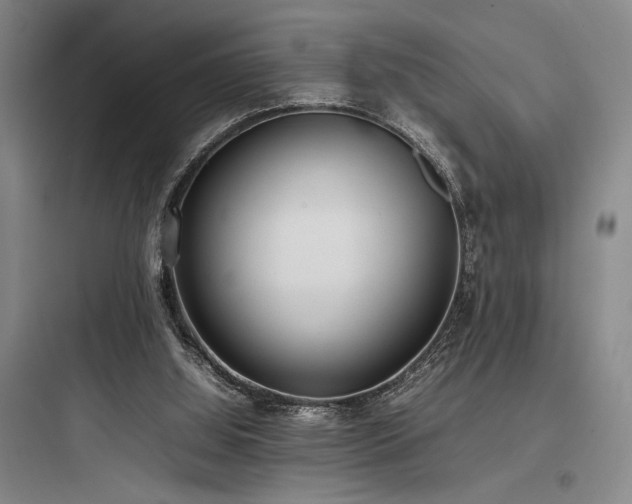 X0000097980060200803241309