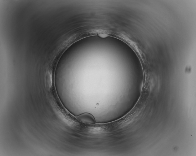 X0000097980061200803241309