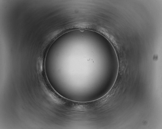 X0000097980062200803241309