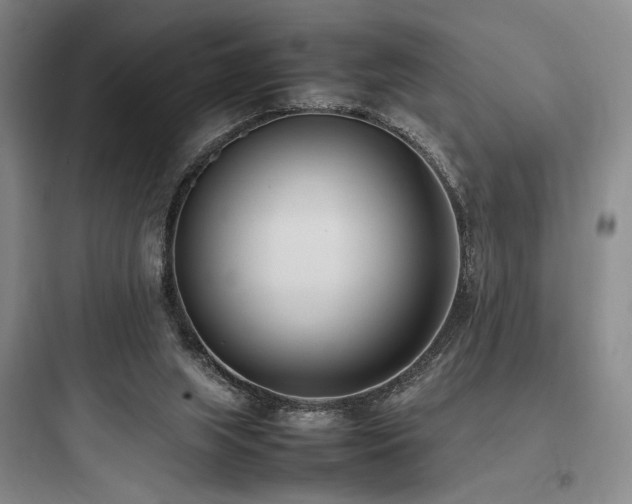 X0000097980063200803241309