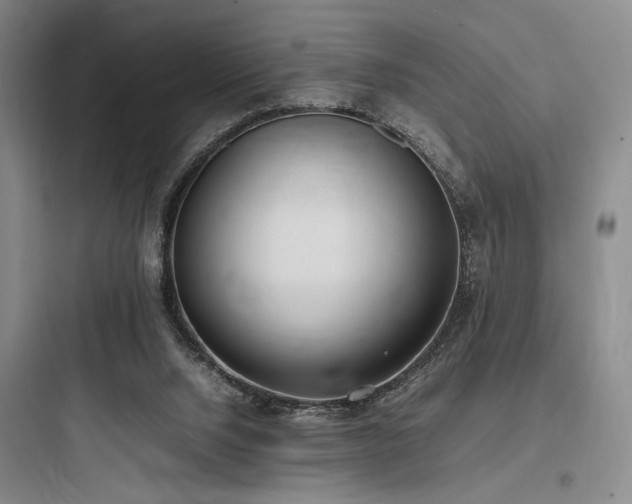 X0000097980064200803241309