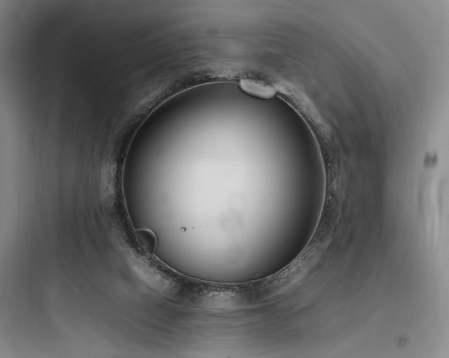 X0000097980066200803241309