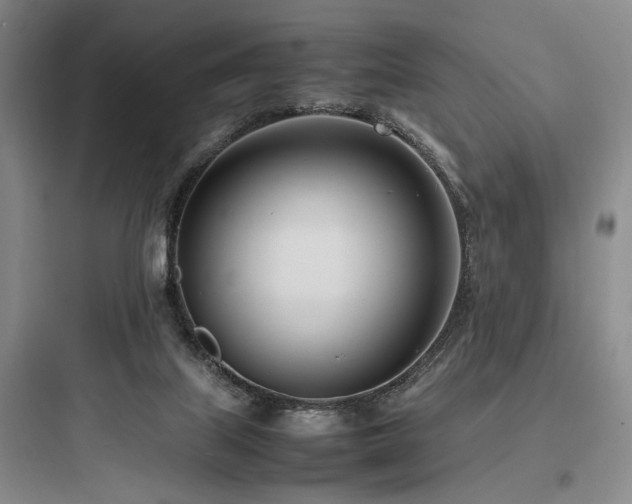 X0000097980067200803241309