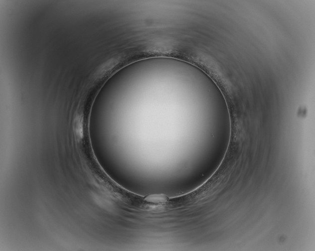 X0000097980068200803241309