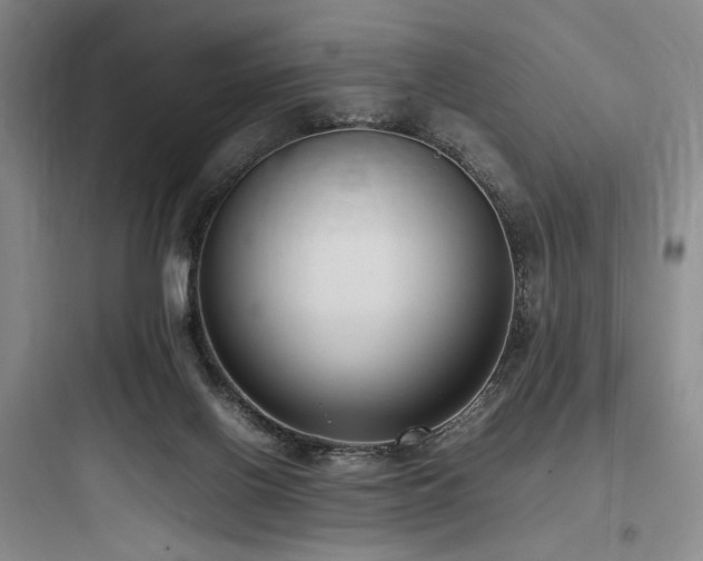 X0000097980070200803241309