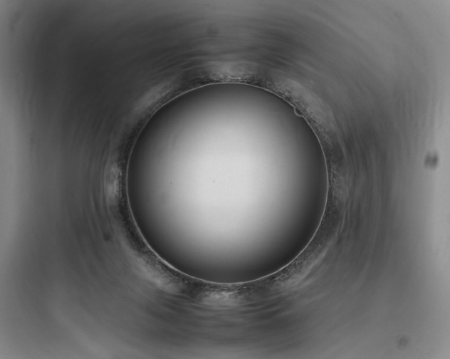 X0000097980071200803241309