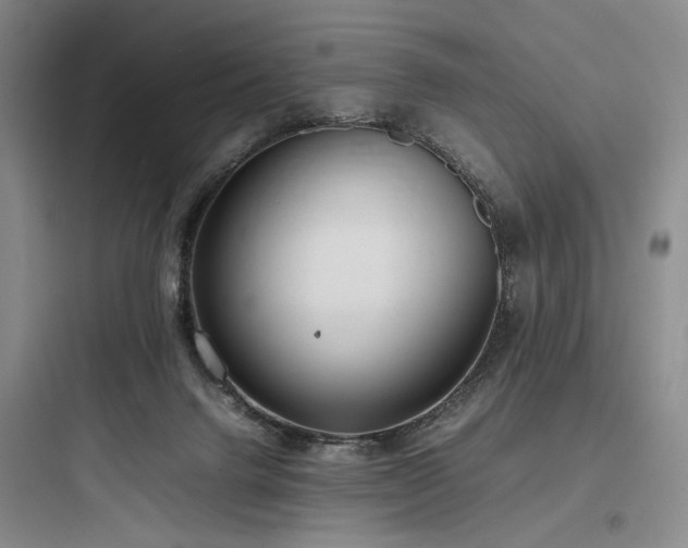 X0000097980072200803241309