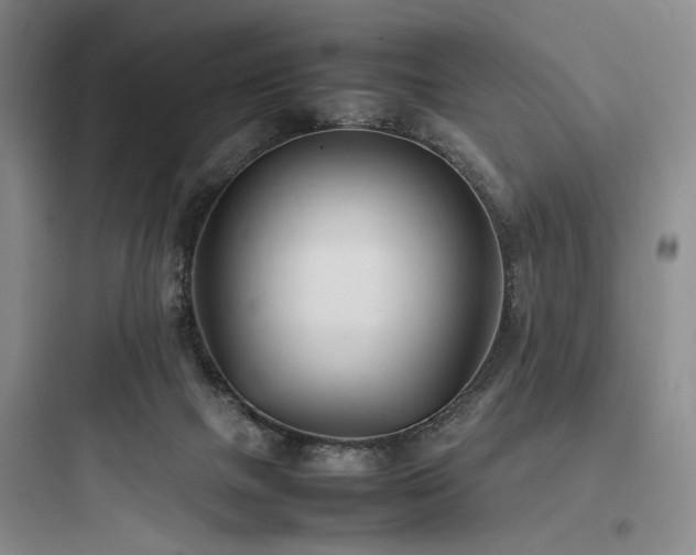 X0000097980073200803241309