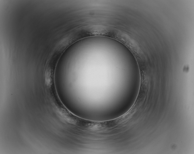 X0000097980074200803241309