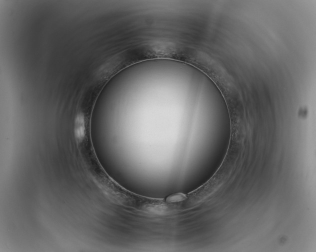 X0000097980075200803241309