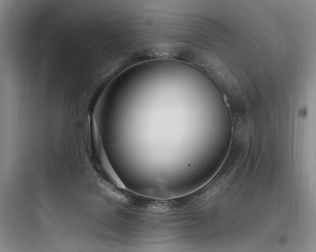 X0000097980076200803241309