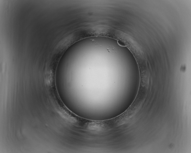 X0000097980077200803241309