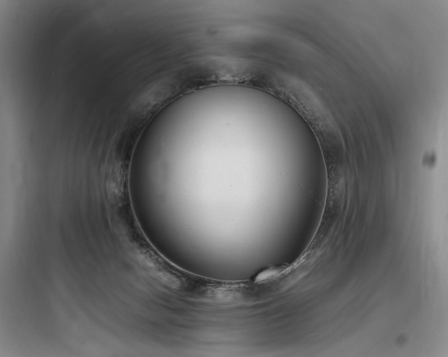 X0000097980078200803241309