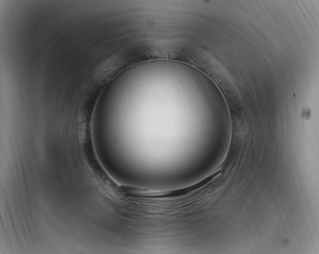 X0000097980080200803241309