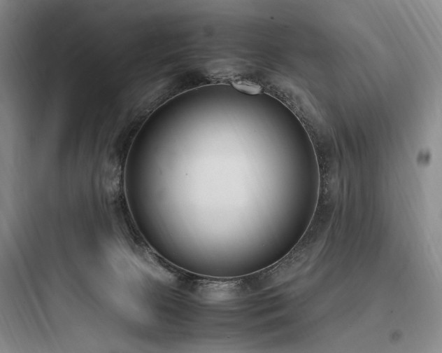 X0000097980081200803241309