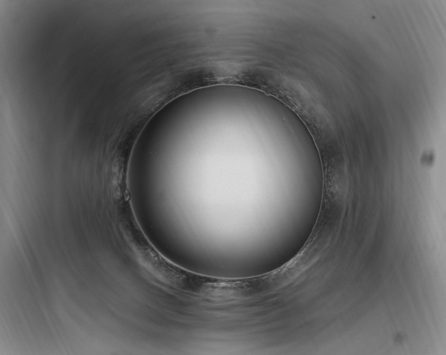 X0000097980082200803241309