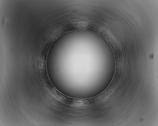X0000097980083200803241309