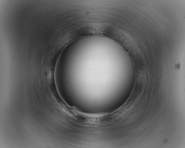 X0000097980084200803241309