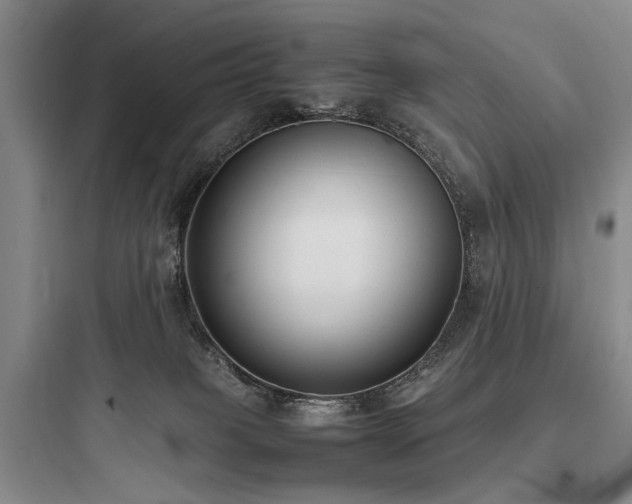 X0000097980085200803241309