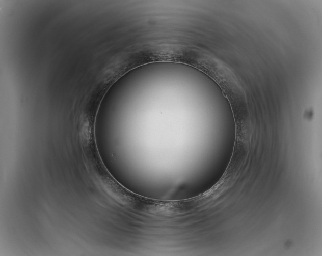 X0000097980086200803241309