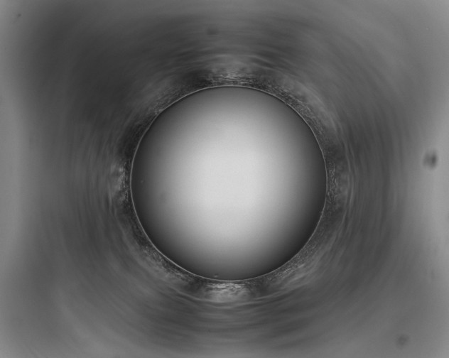 X0000097980087200803241309