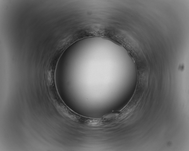 X0000097980088200803241309