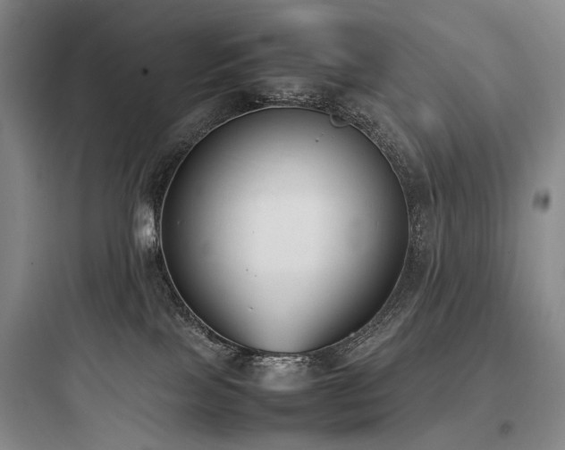 X0000097980089200803241309
