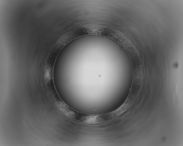 X0000097980090200803241309