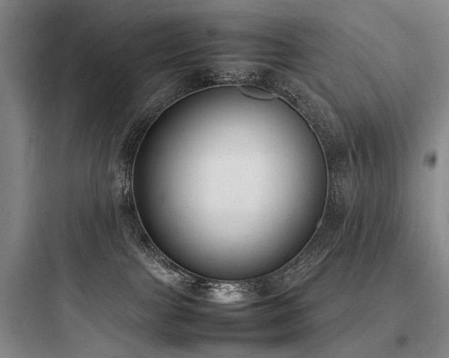 X0000097980091200803241309