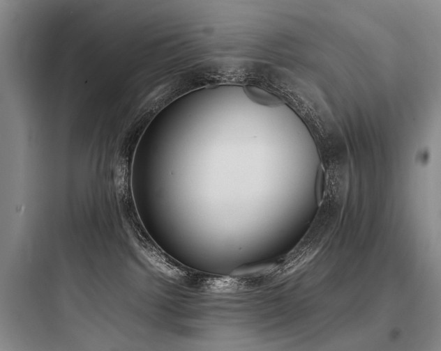 X0000097980092200803241309