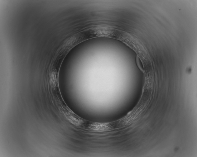 X0000097980093200803241309