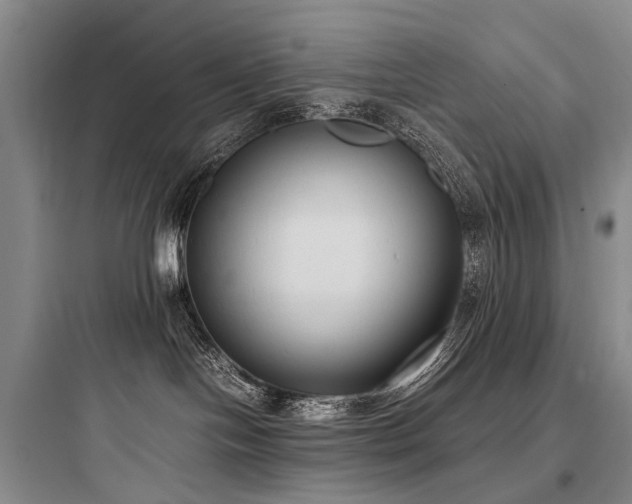 X0000097980094200803241310