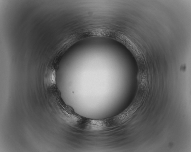 X0000097980095200803241310