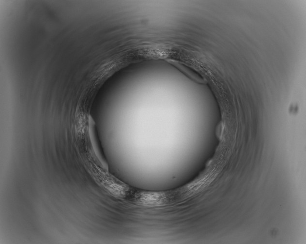 X0000097980096200803241310