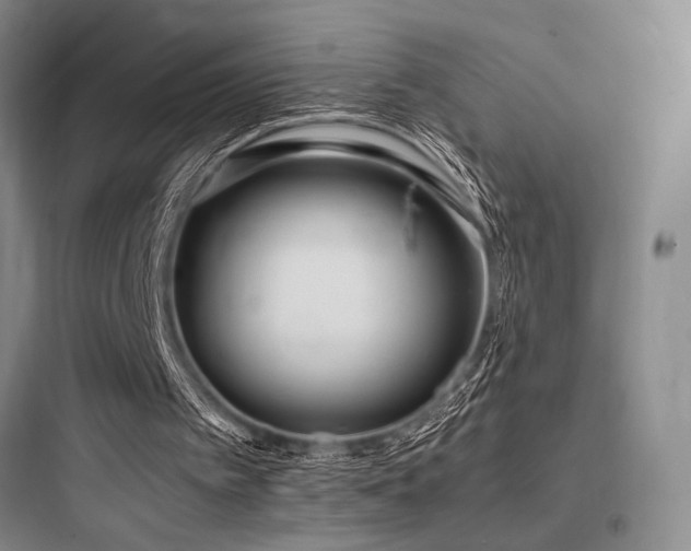 X0000097980097200803241309