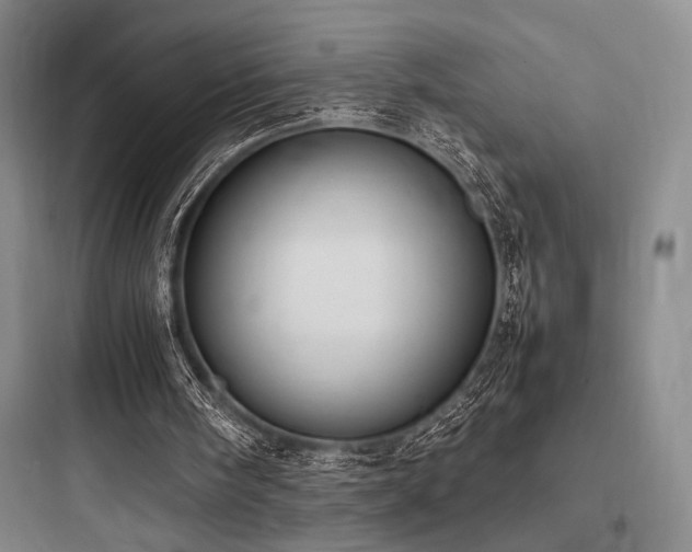 X0000097980098200803241309