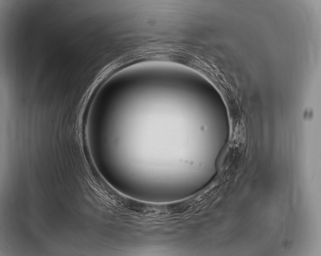 X0000097980099200803241309