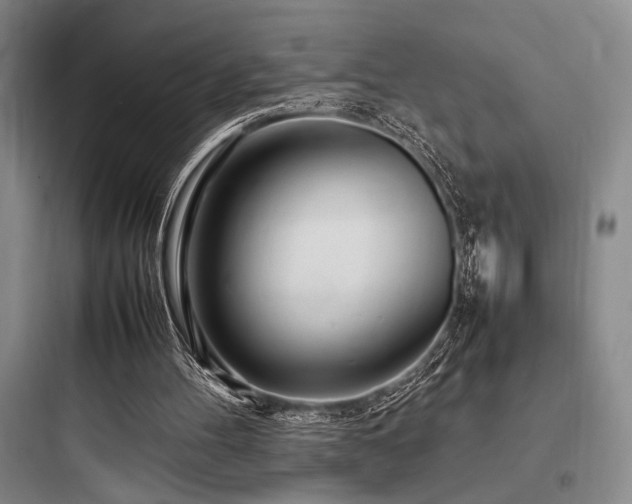 X0000097980100200803241309
