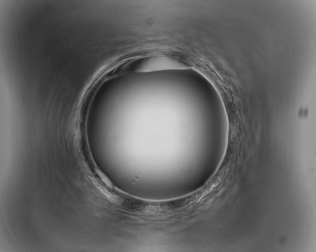 X0000097980101200803241309