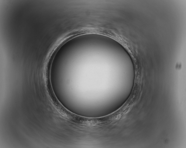 X0000097980103200803241309